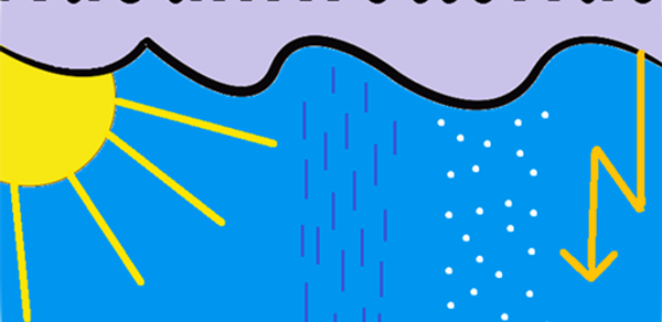 Husumwetter.de Header - AppWisp.com Husumwetter.de Header - AppWisp.com