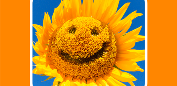 Позитив. Приколы Header - AppWisp.com Позитив. Приколы Header - AppWisp.com