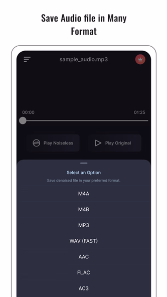 Audio Noise Reducer & Recorder Screenshot 4 - AppWisp.com Audio Noise Reducer & Recorder Screenshot 4 - AppWisp.com