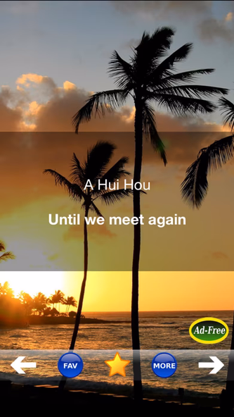 Hawaiian Words & Phrases! Hawaii Dictionary and Casual Language Translation Guide Screenshot 3 - AppWisp.com