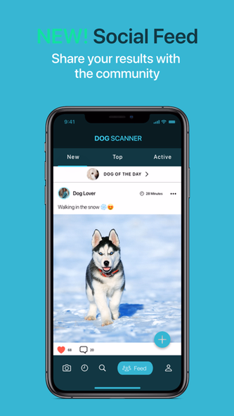 Dog Scanner Screenshot 4 - AppWisp.com Dog Scanner Screenshot 4 - AppWisp.com