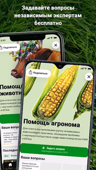 Direct.Farm - агро сообщество Screenshot 3 - AppWisp.com Direct.Farm - агро сообщество Screenshot 3 - AppWisp.com