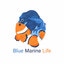Blue Marine Life Qatar - AppWisp.com