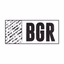 BGR - The Burger Joint - AppWisp.com