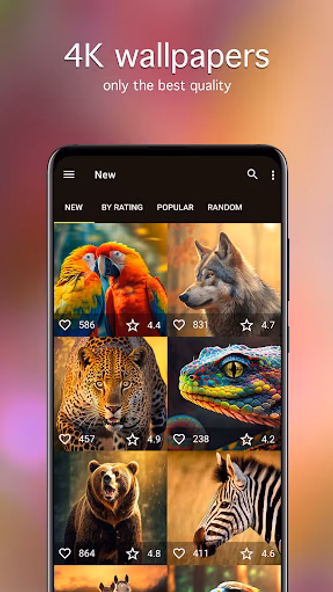 Animal Wallpapers 4K Screenshot 2 - AppWisp.com Animal Wallpapers 4K Screenshot 2 - AppWisp.com