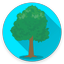 Tree Identifier App - Los árbo - AppWisp.com