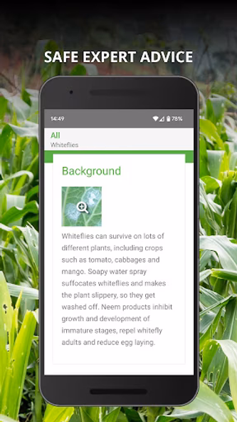 PlantwisePlus Factsheets Screenshot 2 - AppWisp.com PlantwisePlus Factsheets Screenshot 2 - AppWisp.com
