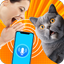 Human to Cat Translator - AppWisp.com