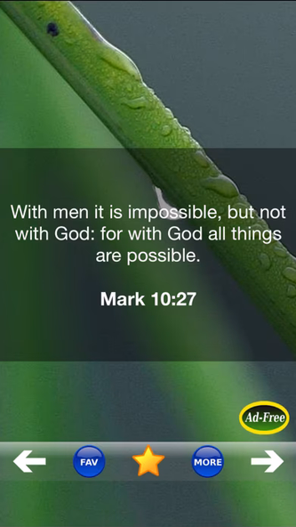 Inspirational Bible Verse of the Day FREE! Daily Bible Inspirations, Scripture & Christian Devotionals! Screenshot 3 - AppWisp.com Inspirational Bible Verse of the Day FREE! Daily Bible Inspirations, Scripture & Christian Devotionals! Screenshot 3 - AppWisp.com