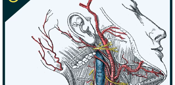 Gray's Anatomy - Anatomy Atlas Header - AppWisp.com Gray's Anatomy - Anatomy Atlas Header - AppWisp.com