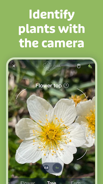 Flora Incognita Screenshot 2 - AppWisp.com Flora Incognita Screenshot 2 - AppWisp.com