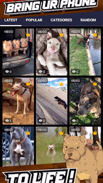 pitbull dog wallpaper Screenshot 2 - AppWisp.com pitbull dog wallpaper Screenshot 2 - AppWisp.com