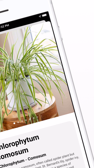 Plant ID - Identify Plants Screenshot 3 - AppWisp.com Plant ID - Identify Plants Screenshot 3 - AppWisp.com