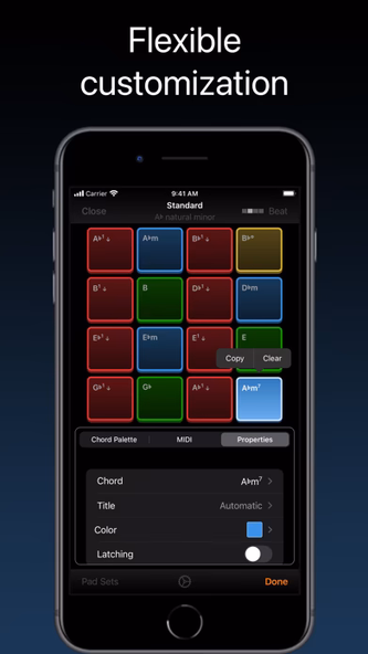 ChordPadX Screenshot 3 - AppWisp.com ChordPadX Screenshot 3 - AppWisp.com