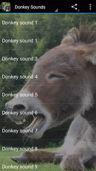 Donkey Sounds Screenshot 3 - AppWisp.com Donkey Sounds Screenshot 3 - AppWisp.com