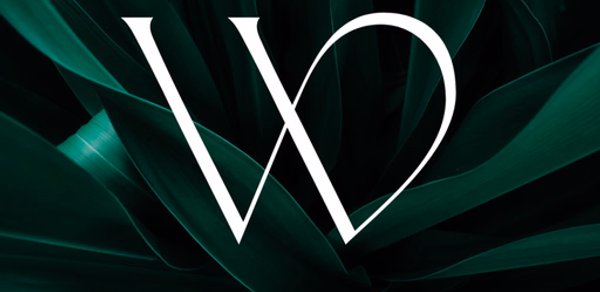 Wellnesse.ca Header - AppWisp.com Wellnesse.ca Header - AppWisp.com