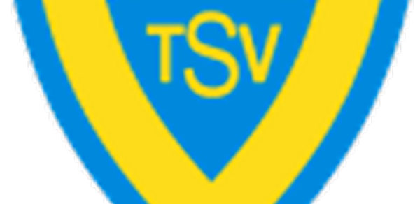 TSV Dauelsen Header - AppWisp.com TSV Dauelsen Header - AppWisp.com