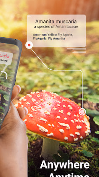 Picture Mushroom - Mushroom ID Screenshot 2 - AppWisp.com Picture Mushroom - Mushroom ID Screenshot 2 - AppWisp.com