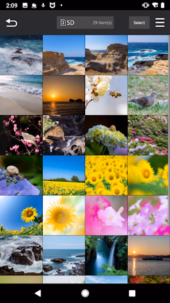 Panasonic LUMIX Sync Screenshot 2 - AppWisp.com Panasonic LUMIX Sync Screenshot 2 - AppWisp.com