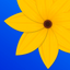 Gallery - Private Photo Hider - AppWisp.com