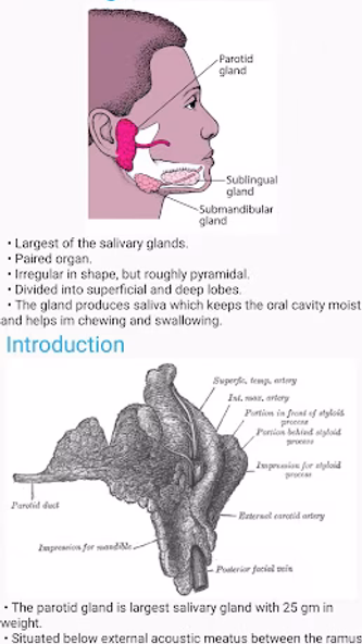 Human Anatomy E Theories Screenshot 3 - AppWisp.com Human Anatomy E Theories Screenshot 3 - AppWisp.com