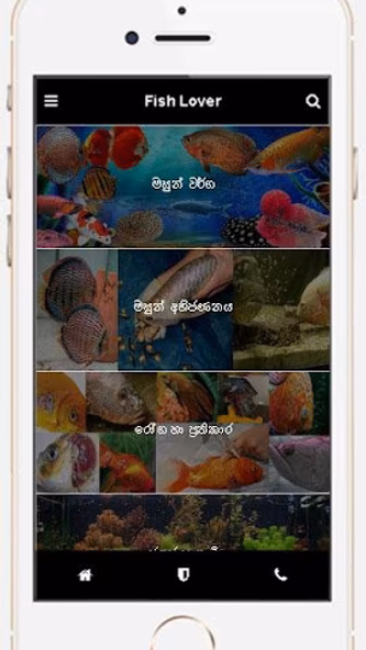 Fish Lover Screenshot 1 - AppWisp.com Fish Lover Screenshot 1 - AppWisp.com