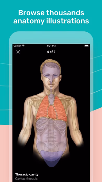 Easy Anatomy 3D Screenshot 2 - AppWisp.com Easy Anatomy 3D Screenshot 2 - AppWisp.com