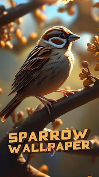 sparrow wallpaper Screenshot 1 - AppWisp.com sparrow wallpaper Screenshot 1 - AppWisp.com