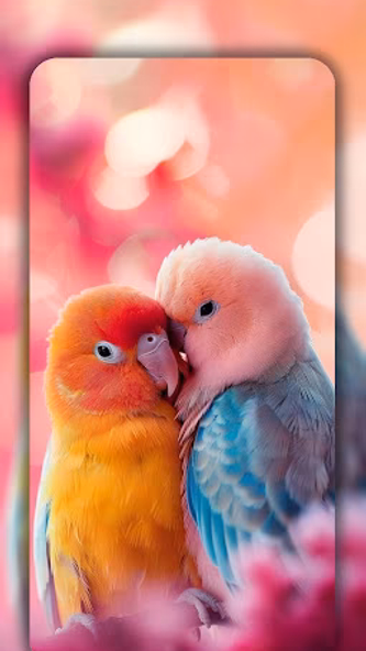 Birds Wallpaper in 4K Screenshot 1 - AppWisp.com Birds Wallpaper in 4K Screenshot 1 - AppWisp.com