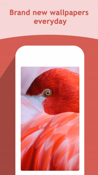 HD Wallpapers Backgrounds Screenshot 2 - AppWisp.com HD Wallpapers Backgrounds Screenshot 2 - AppWisp.com