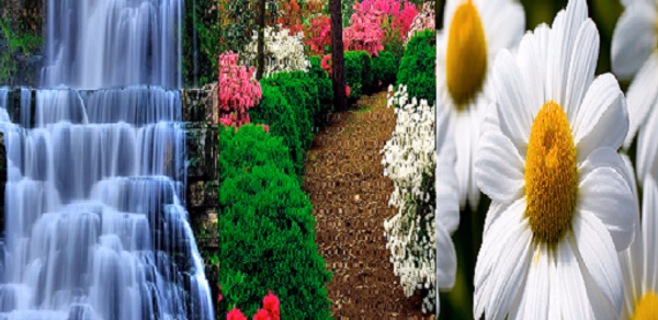 Backgrounds HD Wallpapers 3D4K Header - AppWisp.com Backgrounds HD Wallpapers 3D4K Header - AppWisp.com
