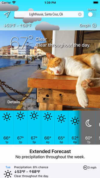 Sunkitty Screenshot 1 - AppWisp.com Sunkitty Screenshot 1 - AppWisp.com