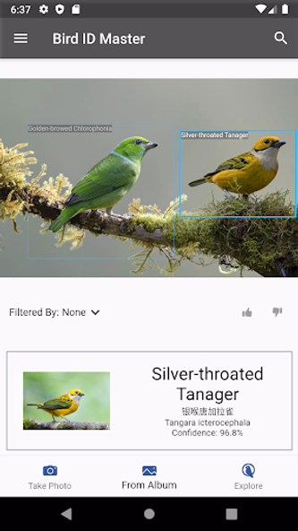 Bird ID Master Screenshot 3 - AppWisp.com Bird ID Master Screenshot 3 - AppWisp.com