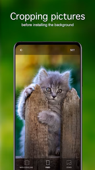 Kitten Wallpapers 4K Screenshot 4 - AppWisp.com Kitten Wallpapers 4K Screenshot 4 - AppWisp.com