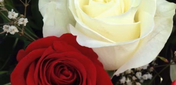 صور ورود Header - AppWisp.com صور ورود Header - AppWisp.com
