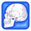 Human Body Facts 1000 Fun Quiz - AppWisp.com
