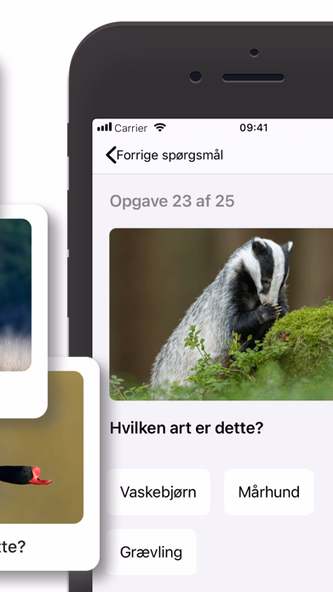 Jægerappen - jagttegn artsquiz Screenshot 2 - AppWisp.com Jægerappen - jagttegn artsquiz Screenshot 2 - AppWisp.com