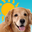 Sundoggy - AppWisp.com