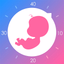 妈妈网孕育-孕妇怀孕期管家app - AppWisp.com