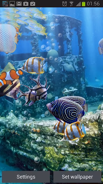 The real aquarium - LWP Screenshot 2 - AppWisp.com The real aquarium - LWP Screenshot 2 - AppWisp.com
