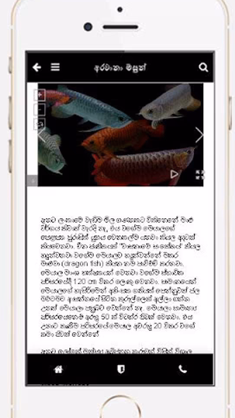 Fish Lover Screenshot 3 - AppWisp.com Fish Lover Screenshot 3 - AppWisp.com