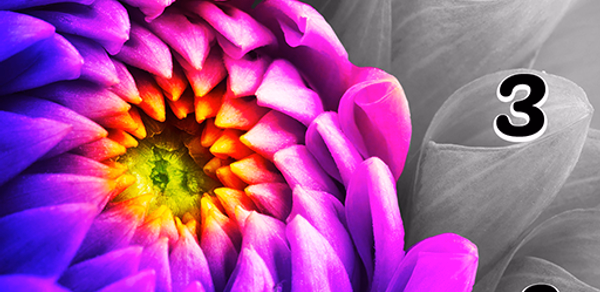 Photo by Number Header - AppWisp.com Photo by Number Header - AppWisp.com