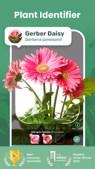 Blossom - Plant Identifier Screenshot 1 - AppWisp.com Blossom - Plant Identifier Screenshot 1 - AppWisp.com