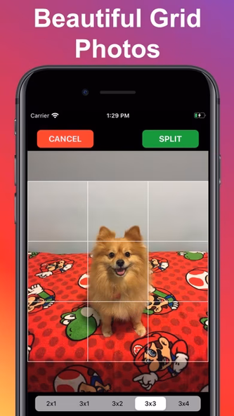 Photo Splitter: Picture Grids Screenshot 1 - AppWisp.com Photo Splitter: Picture Grids Screenshot 1 - AppWisp.com