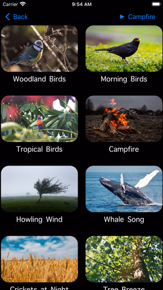 Calming Sounds Screenshot 4 - AppWisp.com Calming Sounds Screenshot 4 - AppWisp.com