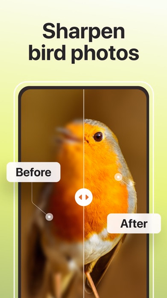 Picture Bird - Bird Identifier Screenshot 3 - AppWisp.com Picture Bird - Bird Identifier Screenshot 3 - AppWisp.com