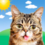 Lil BUB Cat Weather Report - AppWisp.com