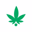 DeliveryBudz: Weed Delivery NY - AppWisp.com