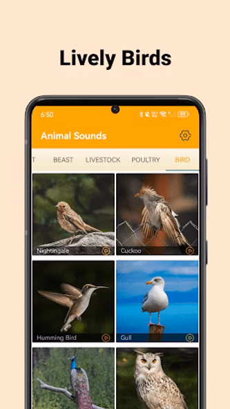 Animal Sounds - enjoy sounds Screenshot 3 - AppWisp.com Animal Sounds - enjoy sounds Screenshot 3 - AppWisp.com