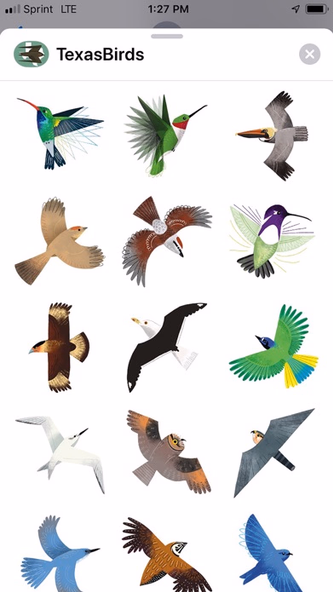 Texas Birds Sticker Pack Screenshot 2 - AppWisp.com Texas Birds Sticker Pack Screenshot 2 - AppWisp.com